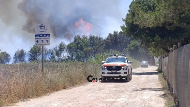 Inferno di fuoco a Torre San Giovanni: pineta e lido avvolti dalle fiamme, evacuate le spiagge - Corriere Salentino