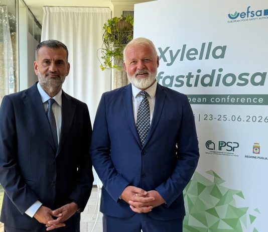 Xylella, Decaro: “Da una ferita profonda è nato un patrimonio di conoscenze al servizio dell’Europa”