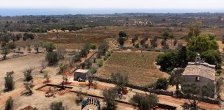 Home - Corriere Salentino