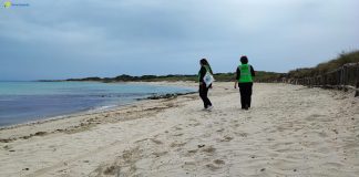 Home - Corriere Salentino