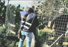 Cronaca - Corriere Salentino