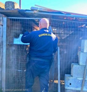 Controlli a tappeto contro maltrattamenti e abbandono degli animali: sequestri e denunce - Corriere Salentino