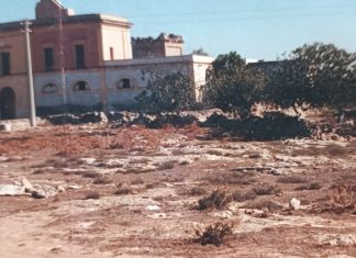 Masseria “Bellanova” tante narrazioni d’altri tempi che rivivono ancora oggi