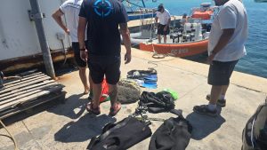 Beccato a pescare 400 ricci nell'Area Protetta, multa da 2.000 euro - Corriere Salentino