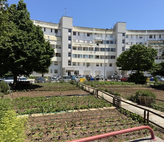 Lecce, 500mila euro dal Poc Legalità per rigenerare le periferie: lavori al via nei prossimi giorni, nuovi spazi sociali entro settembre 2026
