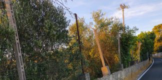 Home - Corriere Salentino
