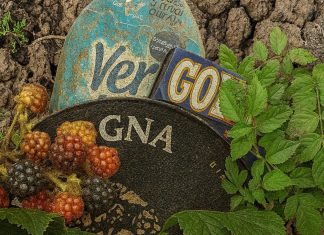 Giornata dell’Ambiente, campagna contro l’abbandono dei rifiuti