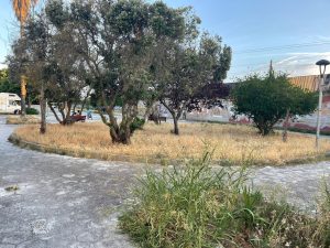 Parco Tafuro nel degrado, l'allarme dei residenti: "Quartiere abbandonato tra rifiuti, vandalismi ed erbacce" - Corriere Salentino