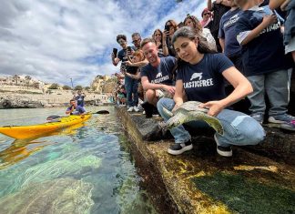 A Castro domenica l’Italian Turtle Day, Plastic Free promuove la liberazione di quattro tartarughe marine