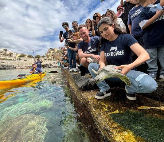 A Castro domenica l’Italian Turtle Day, Plastic Free promuove la liberazione di quattro tartarughe marine