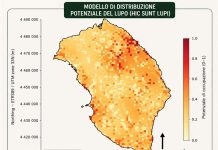Attualità - Corriere Salentino