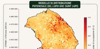 Home - Corriere Salentino