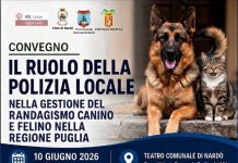 randagismo, un convegno per capire ruolo e compiti della polizia locale Attualità - Corriere Salentino