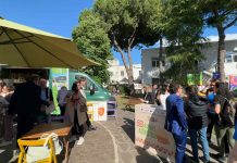 Attualità - Corriere Salentino