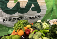 Politica - Corriere Salentino