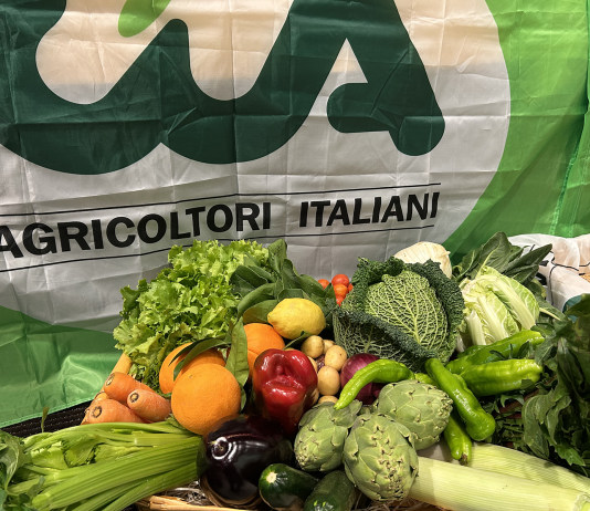 Agricoltura sotto attacco, CIA Puglia: “A rischio anche la cucina italiana”