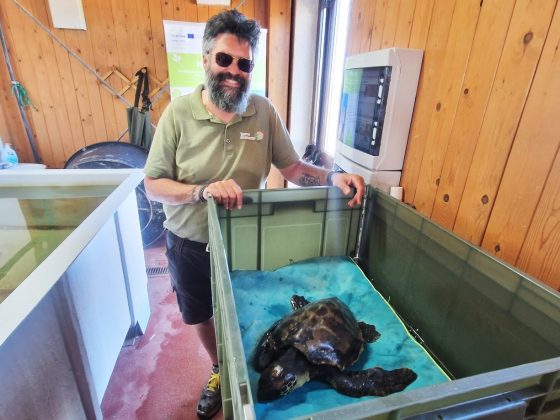 Torneo nazionale veterinari: nell’edizione dedicata a Torre Guaceto, i medici donano alla riserva un macchinario per la cura delle tartarughe - Corriere Salentino