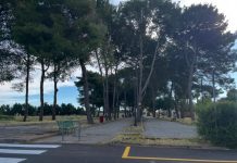 villa comunale e cappella della madonna a melendugno: per motivi di sicurezza saranno espiantati gli alberi di pino Attualità - Corriere Salentino