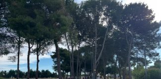 Home - Corriere Salentino