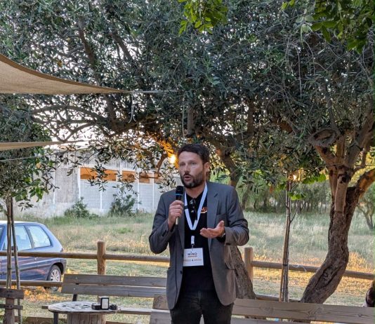 Lecce, strage di alberi sani sulla circonvallazione. MIND attacca: “La politica fallisce ancora, serve un Piano del Verde vero”