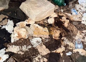 Lecce, degrado in pieno centro: le foto parlano da sole. Siculella (MIND): “Città fuori controllo” - Corriere Salentino