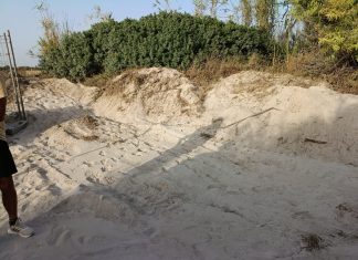 Spianano una duna in zona protetta all’interno del parco, denunciate due persone