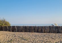 nel salento con “esplorando” per scoprire mare, pineta e biodiversità Attualità - Corriere Salentino