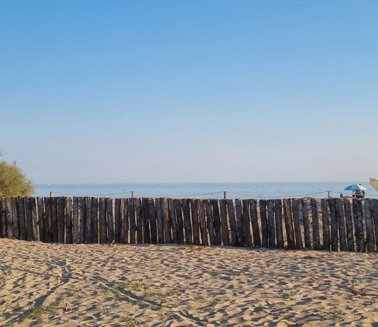 Nel Salento con “Esplorando” per scoprire mare, pineta e biodiversità