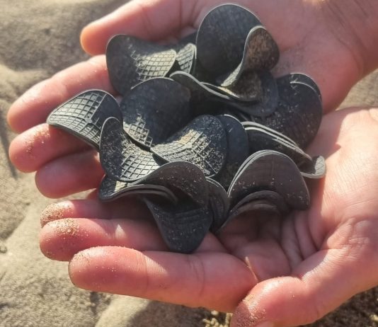 Prosegue il mistero sui dischetti di plastica ritrovati sulle spiagge dell’Adriatico