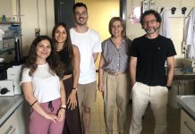 obesità, il muscolo cambia prima della bilancia: la conferma da uno studio internazionale Salute - Corriere Salentino
