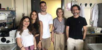 Home - Corriere Salentino
