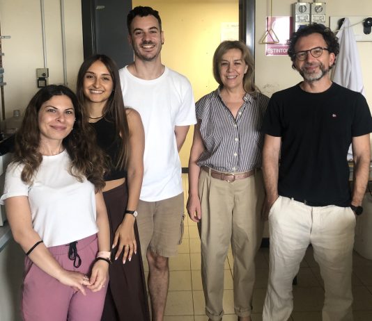 Obesità, il muscolo cambia prima della bilancia: la conferma da uno studio internazionale
