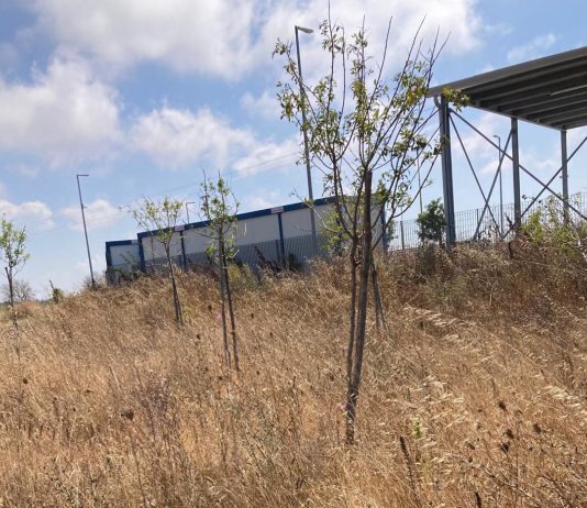 Frigole, il centro raccolta resta chiuso ed è polemica. Rotundo: “Ritardo insopportabile”. Martini: “Mancano solo gli allacci”