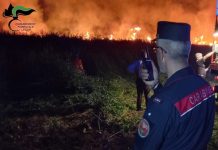 Cronaca - Corriere Salentino