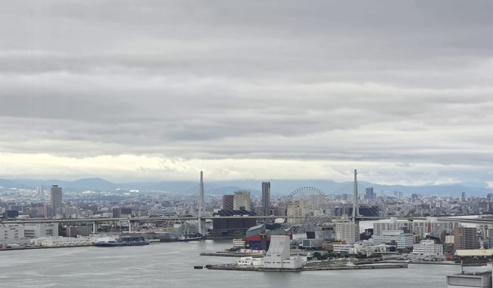 Osaka: più la Scienza avanza, più la Psicoterapia torna alla Relazione - Corriere Salentino