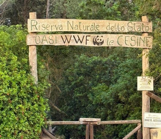 La rivoluzione della “Scuola Lenta” nel Salento: il tempo e le relazioni al centro dell’apprendimento del futuro