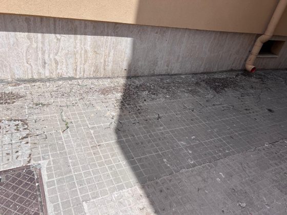 Santa Rosa nella morsa di blatte, topi e degrado: i residenti chiedono interventi immediati - Corriere Salentino