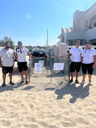 A Porto Cesareo individuato un nuovo nido di Caretta caretta: al via il monitoraggio scientifico e la tutela del sito - Corriere Salentino