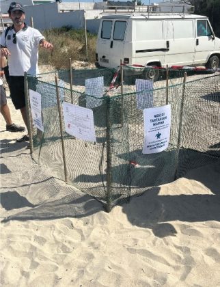 A Porto Cesareo individuato un nuovo nido di Caretta caretta: al via il monitoraggio scientifico e la tutela del sito - Corriere Salentino