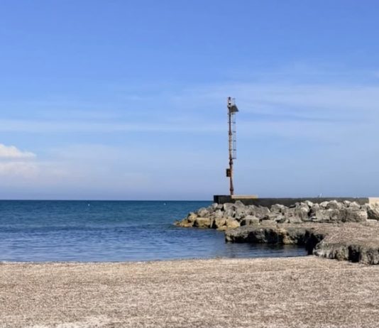 Darsena di San Cataldo, Siculella (MIND) : “Il mare ha partorito il pesciolino”.