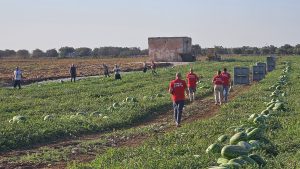 Diritti in campo, 15 anni dopo lo sciopero dei migranti - Corriere Salentino