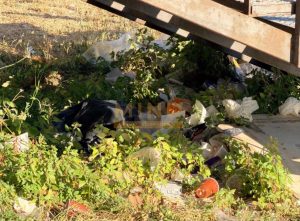 Lecce, degrado in pieno centro: le foto parlano da sole. Siculella (MIND): “Città fuori controllo” - Corriere Salentino