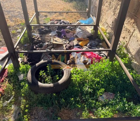 Lecce, degrado in pieno centro: le foto parlano da sole. Siculella (MIND): “Città fuori controllo”