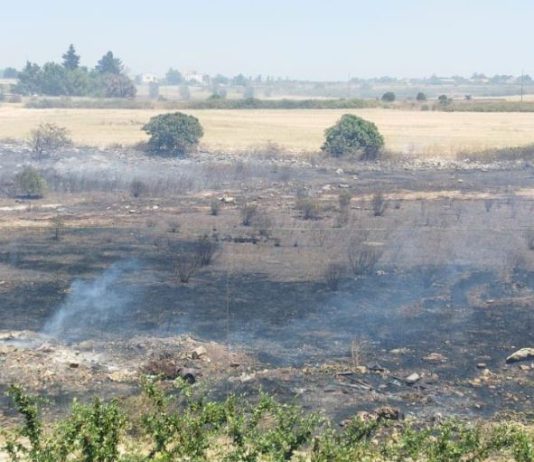 “Levante Village”: paura tra in condomini per un rogo in campagna, residenti spengono le fiamme