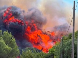 Cronaca - Corriere Salentino