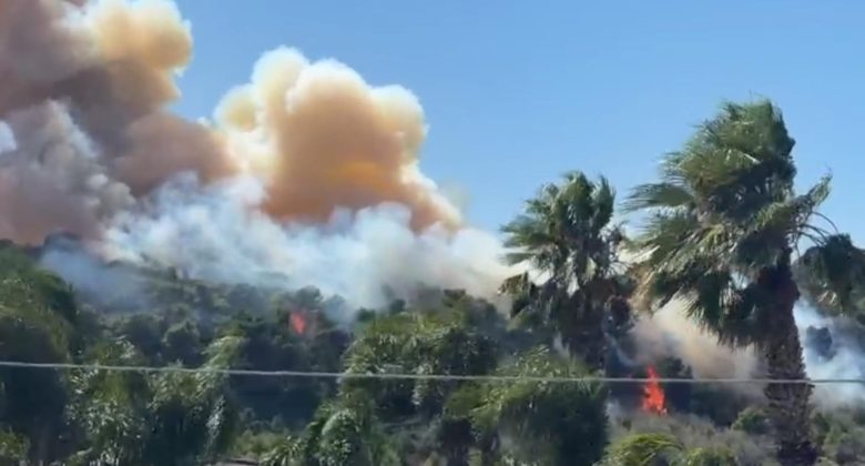 A fuoco un altro pezzo di vegetazione del Salento, tra Ruffano e Supersano - Corriere Salentino