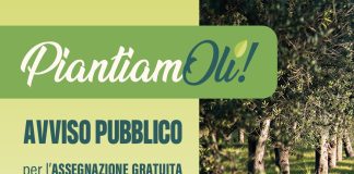 Home - Corriere Salentino