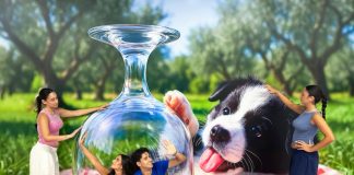 Home - Corriere Salentino