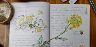 Home - Corriere Salentino