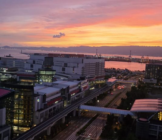 Osaka: più la Scienza avanza, più la Psicoterapia torna alla Relazione
